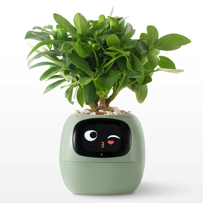 Smart Plant Care System