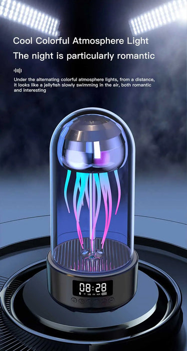 Portable Bluetooth Speakers