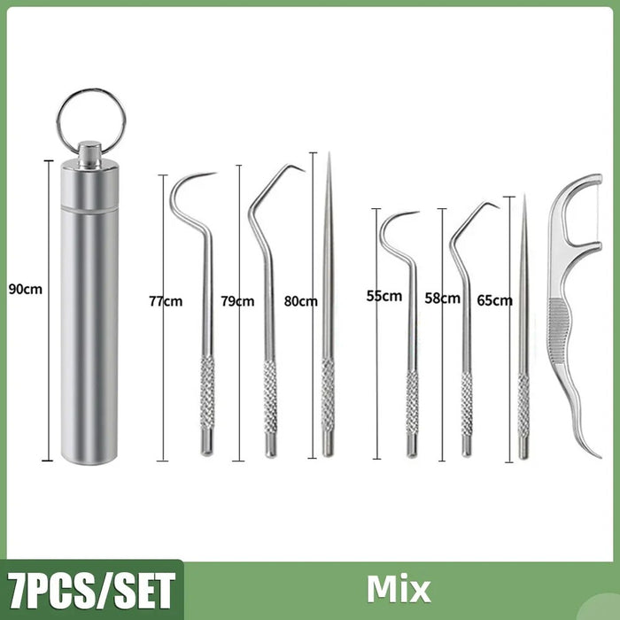 Stainless Steel Toothpicks 7 Pcs