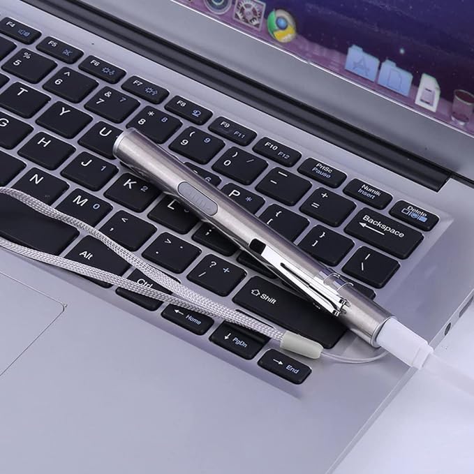 Pen Light Flashlight 