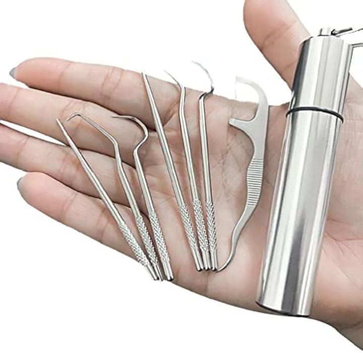 Stainless Steel Toothpicks 7 Pcs