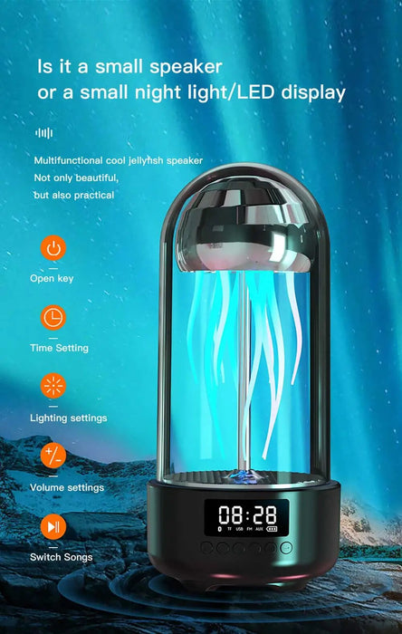 Portable Bluetooth Speakers