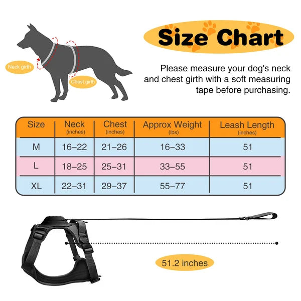 Ease Walk Harness & Leash