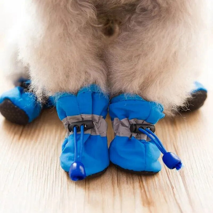 🌲 Early Christmas Sale - SAVE OFF 60% 🎁 Pet Shoes