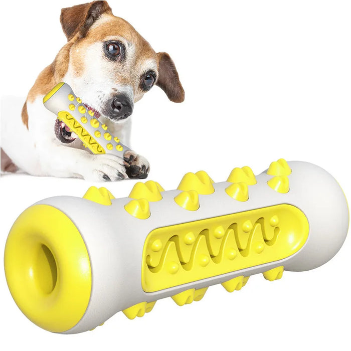 ChewWhiz - Dog Molar Toothbrush Toys