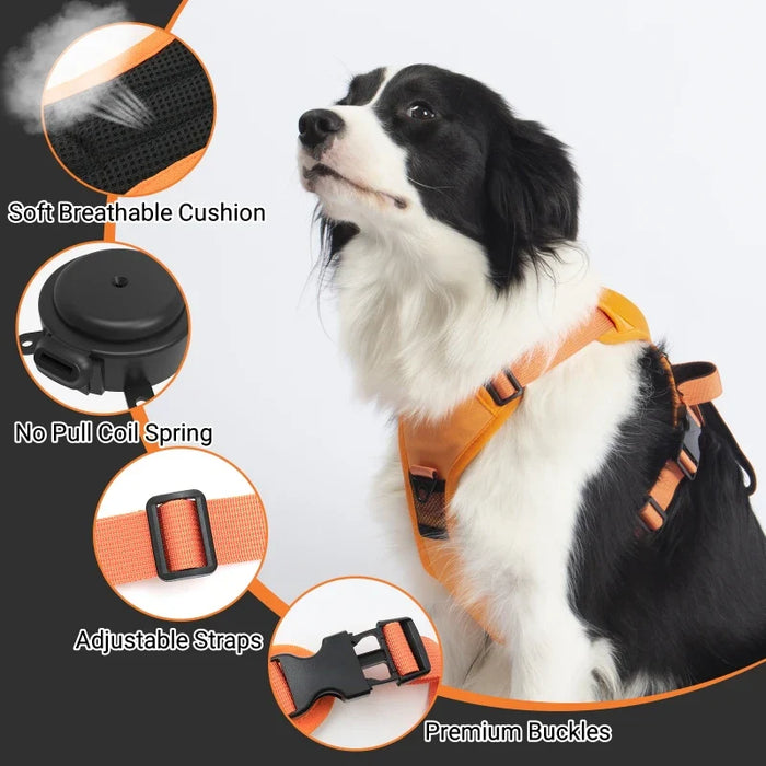 Ease Walk Harness & Leash