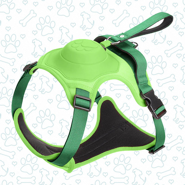 Ease Walk Harness & Leash