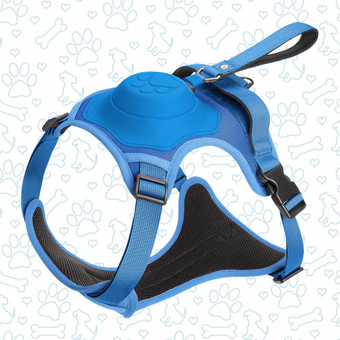 Ease Walk Harness & Leash